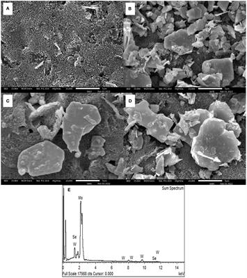 A sandwich-like configuration with a signal amplification strategy using a methylene blue/aptamer complex on a heterojunction 2D MoSe2/2D WSe2 electrode: Toward a portable and sensitive electrochemical alpha-fetoprotein immunoassay